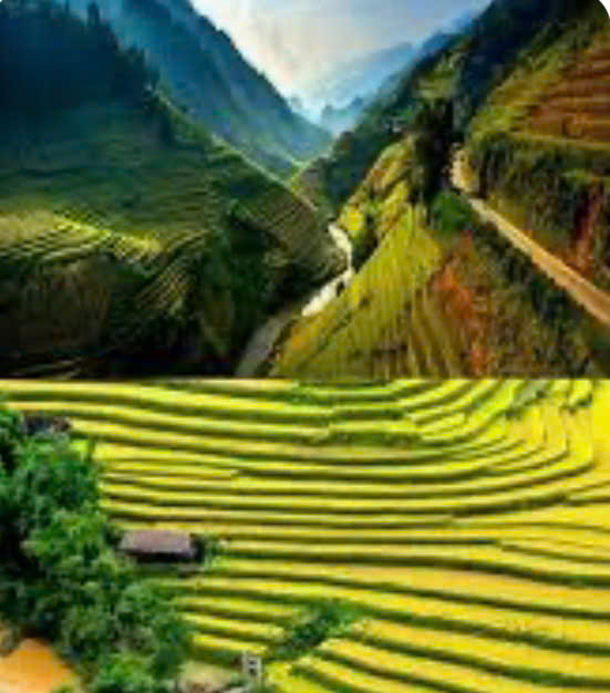 Vòng Trưởng Sinh Của 10 Thiên Can